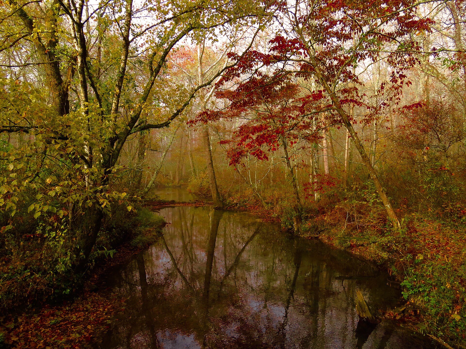 Abrams Creek in October