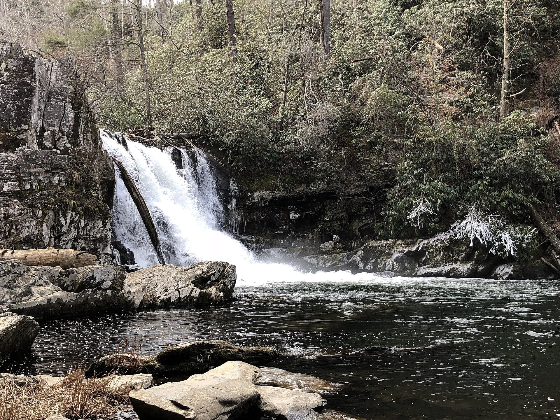 Abrams Falls pouring over its sandstone ledge into the pool, in February