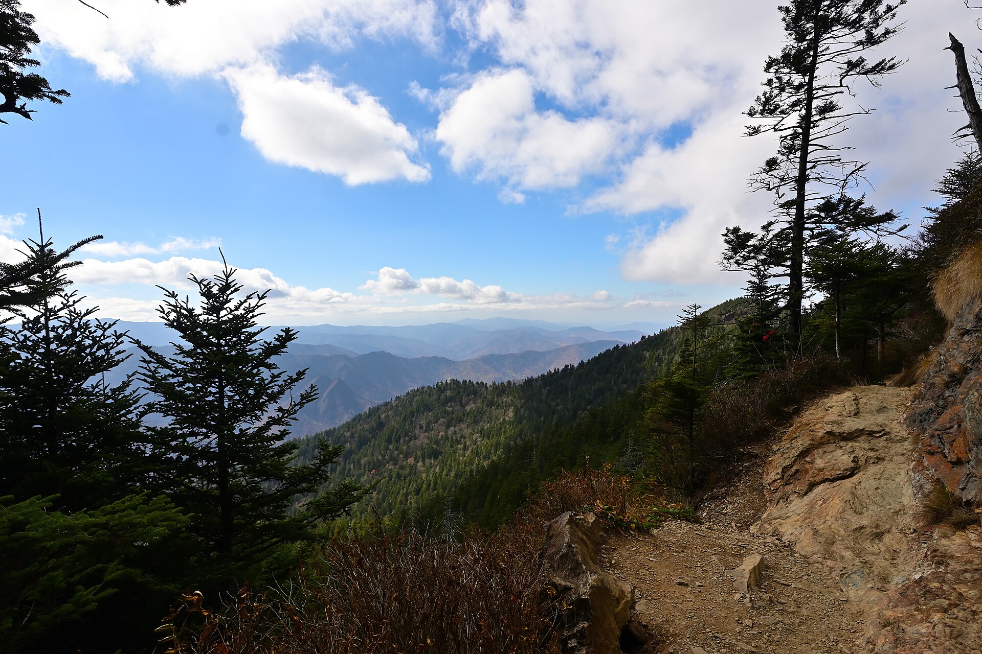 A section of trail cut into the rock between the Bluffs and LeConte