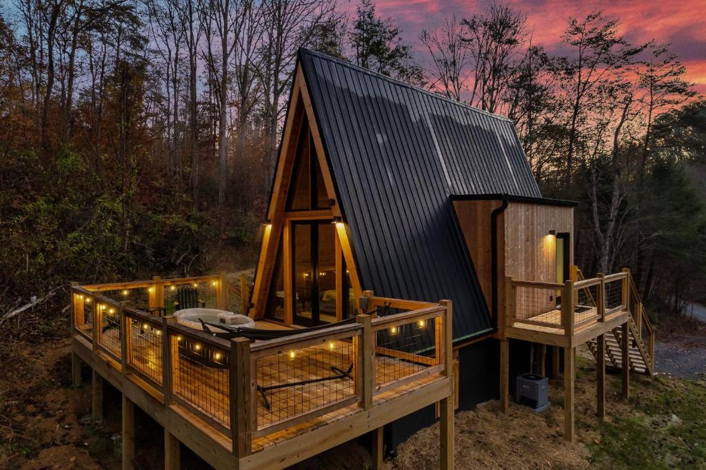 An Escape to the Forest