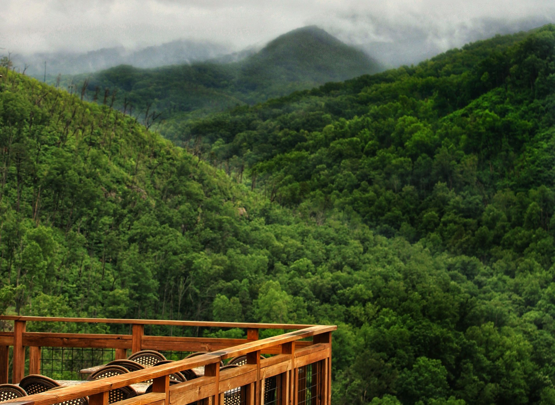 A deck with tables at Anakeesta, above the forested ridges