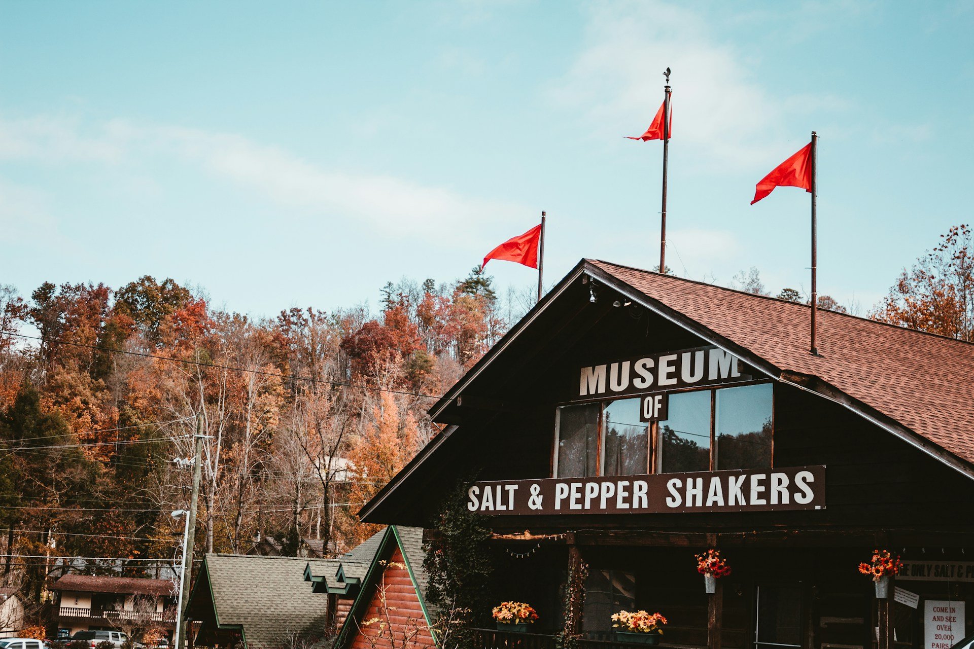 The Museum of Salt & Pepper Shakers off US-321, on the way to the loop