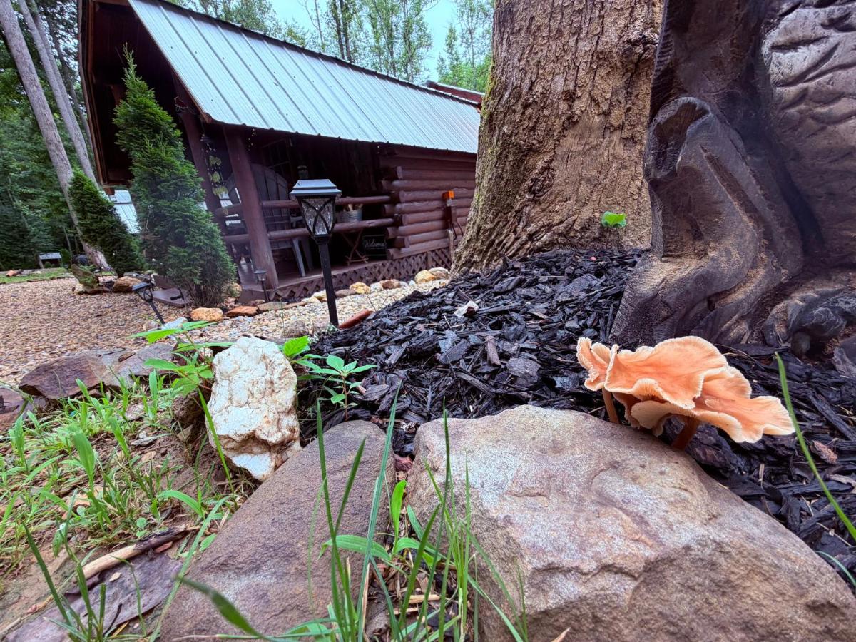 Big Bear Log Cabin