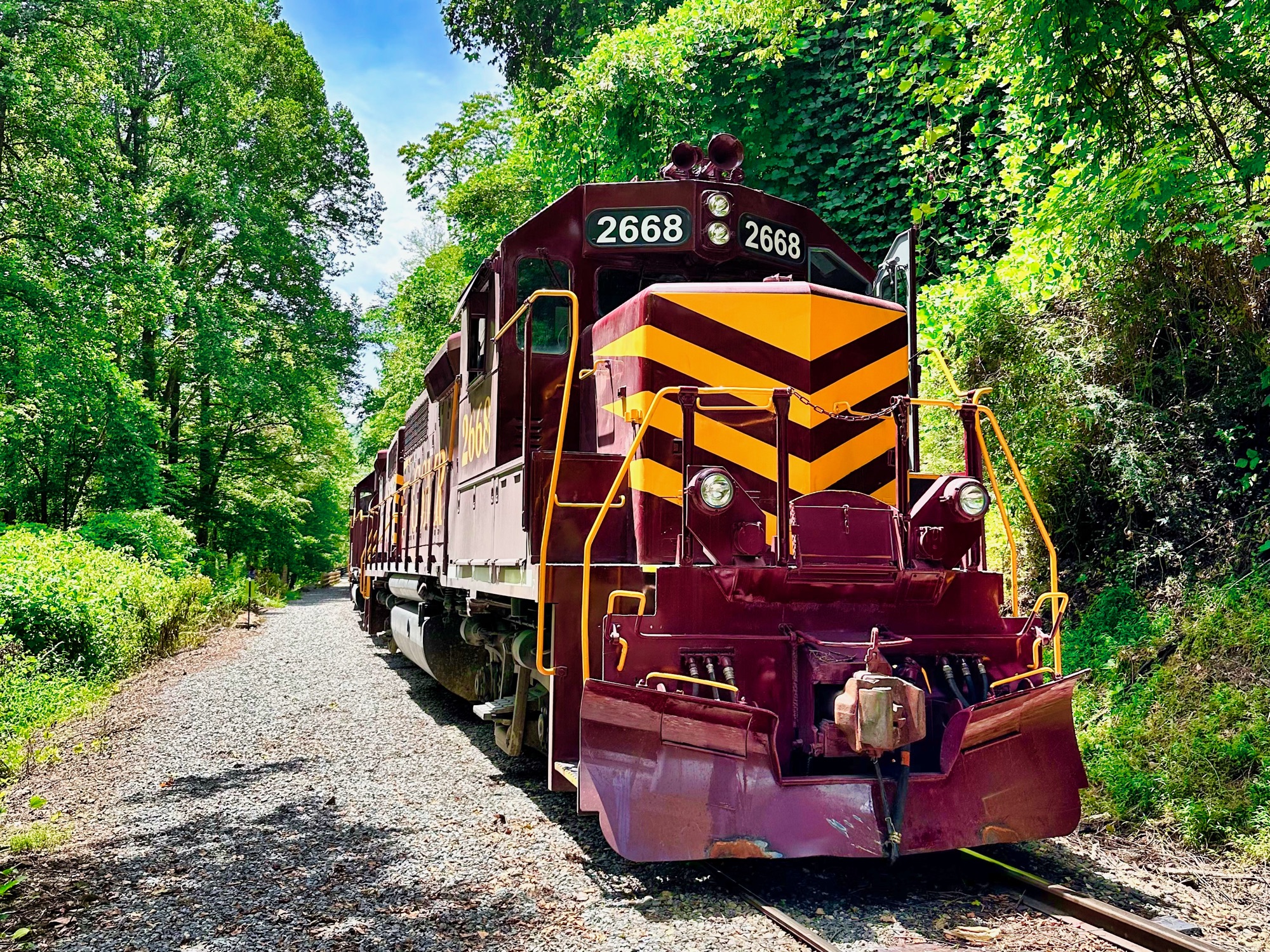 A Great Smoky Mountains Railroad diesel at Nantahala, in the gorge