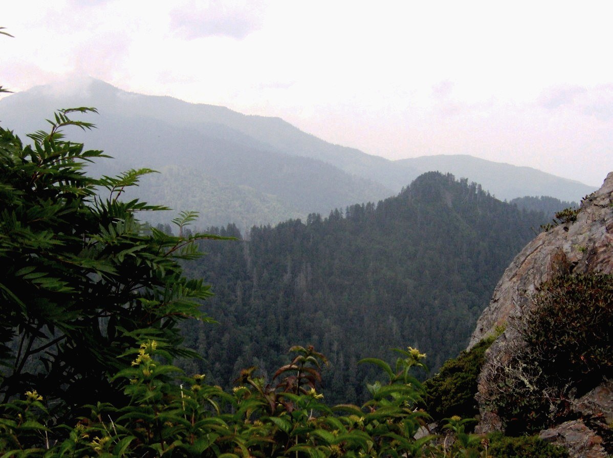 Looking northwest from the rock towards the Mount Le Conte massif