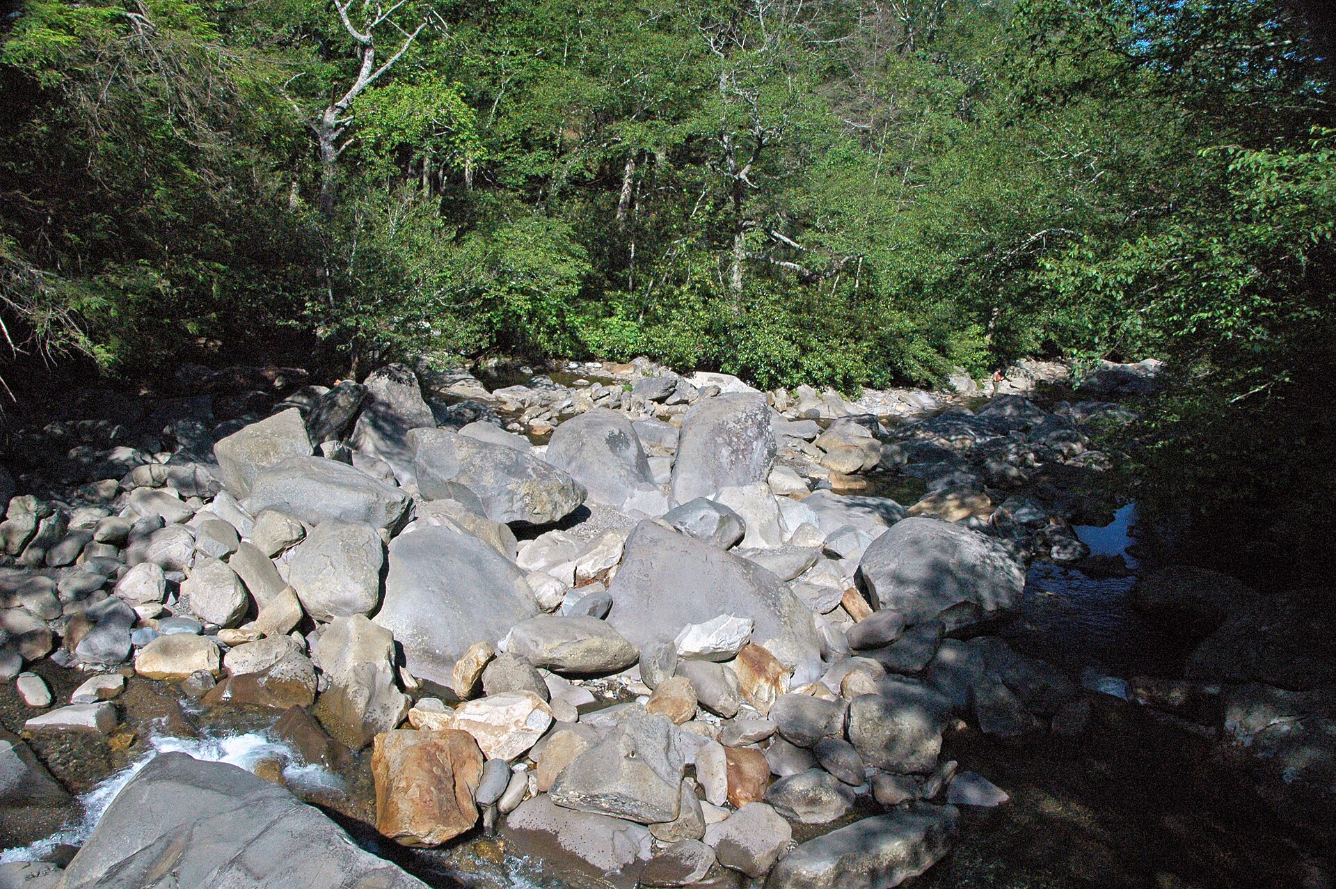 Road Prong's boulder-choked stream beside the lower trail