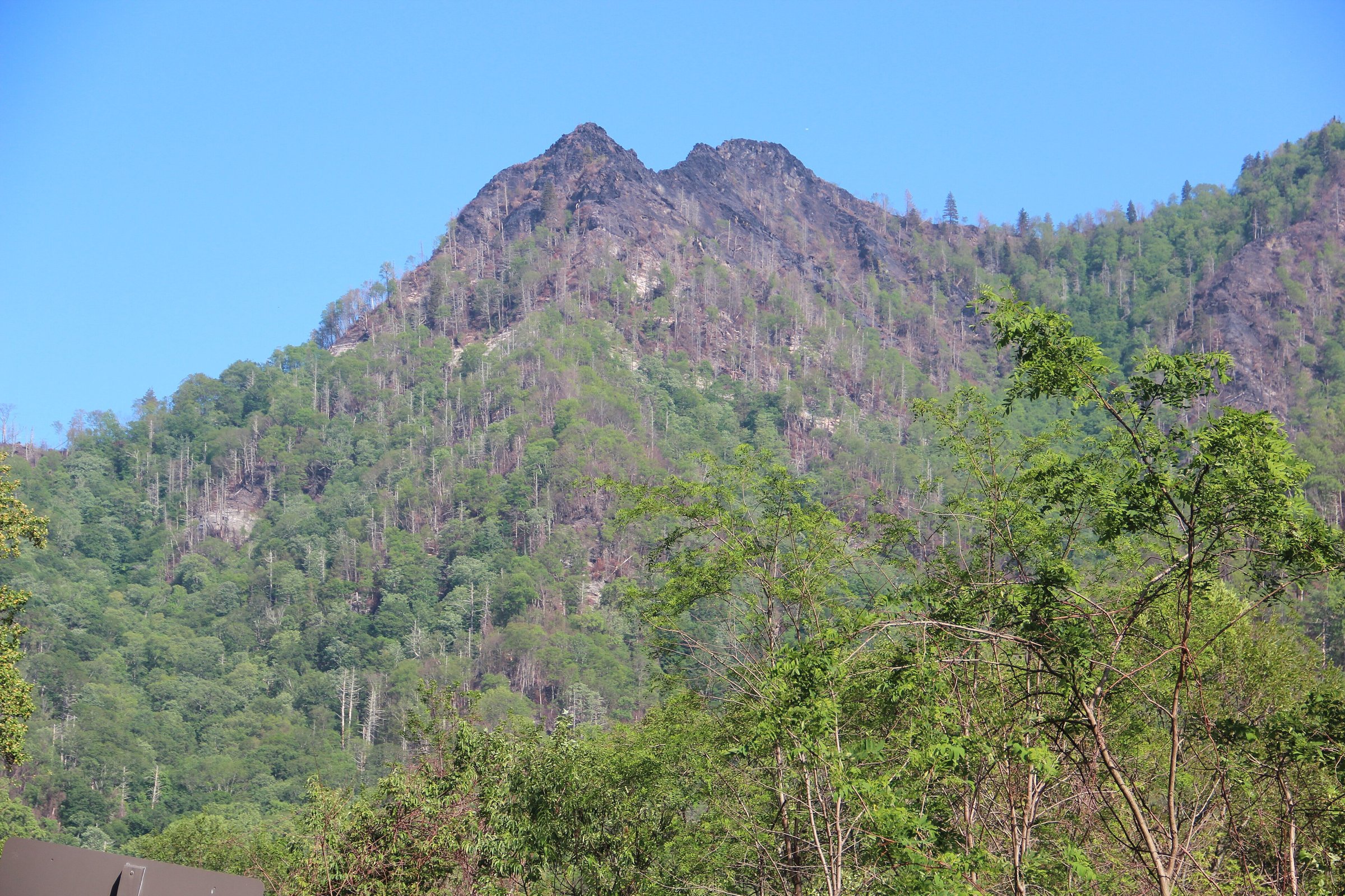 The Chimney Tops pinnacles in May 2017, the fire's burn scars still raw