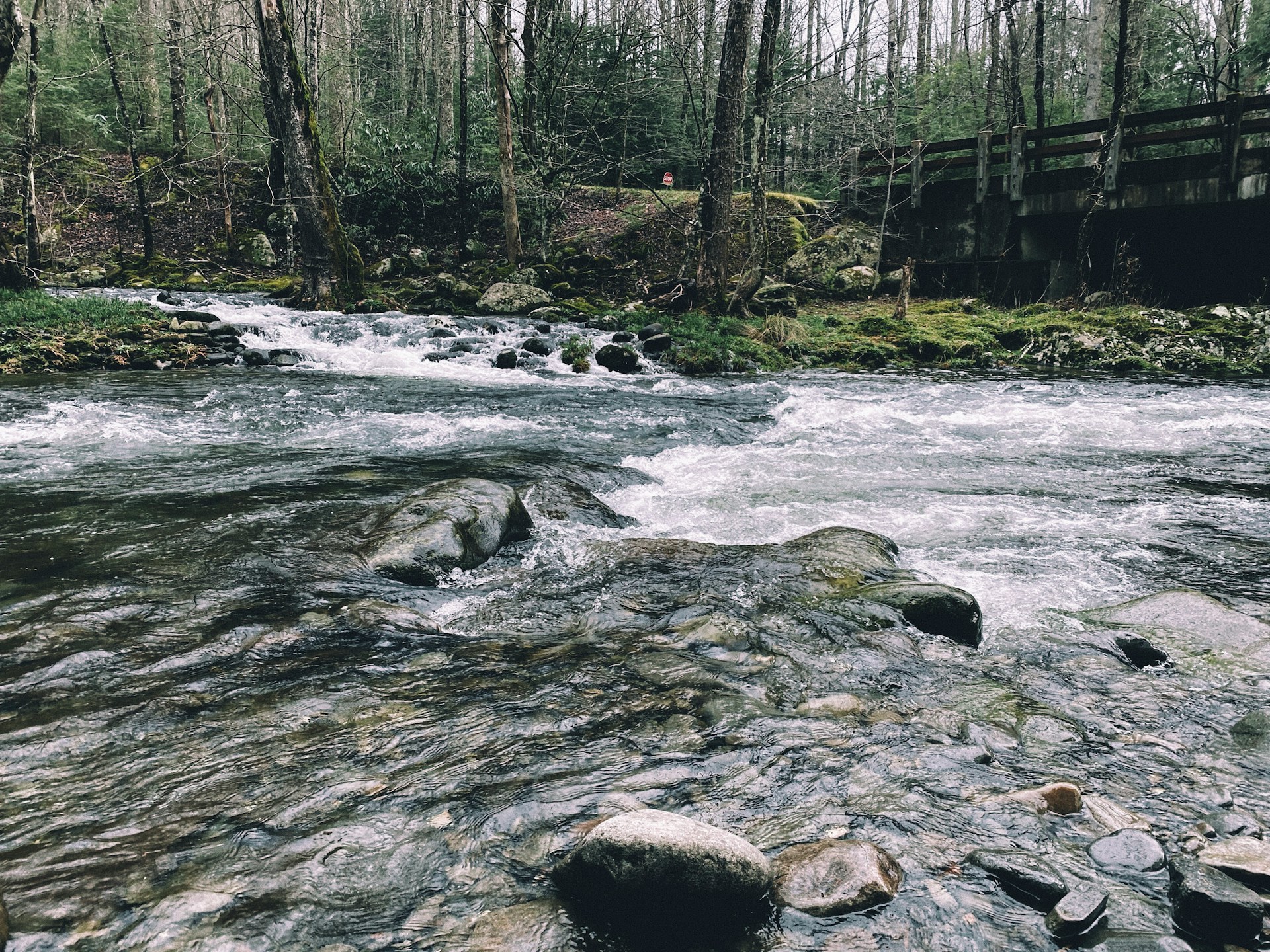 The Little River running fast below a road bridge near Elkmont Campground