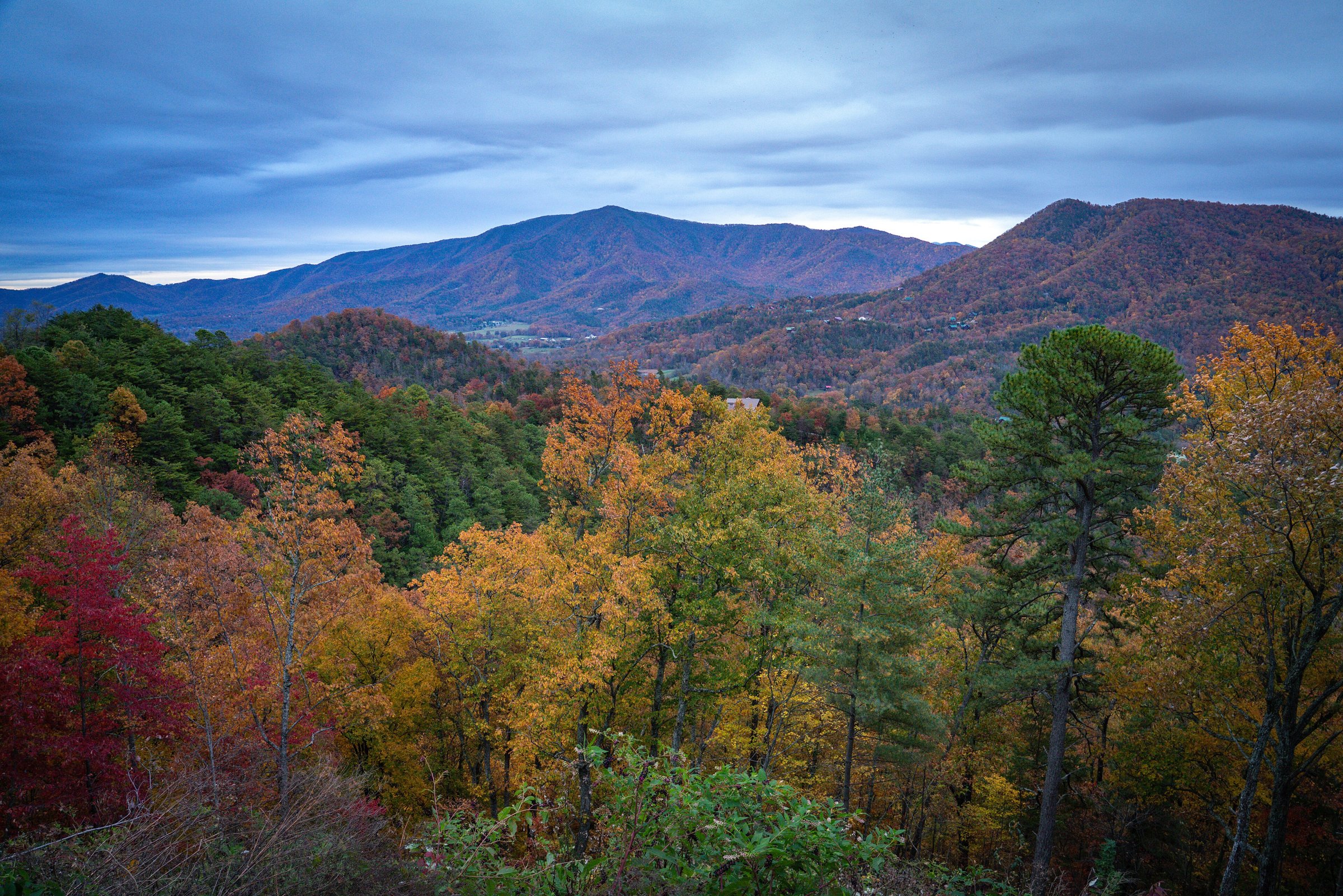 Fall color below an overlook on the Walland to Wears Valley section