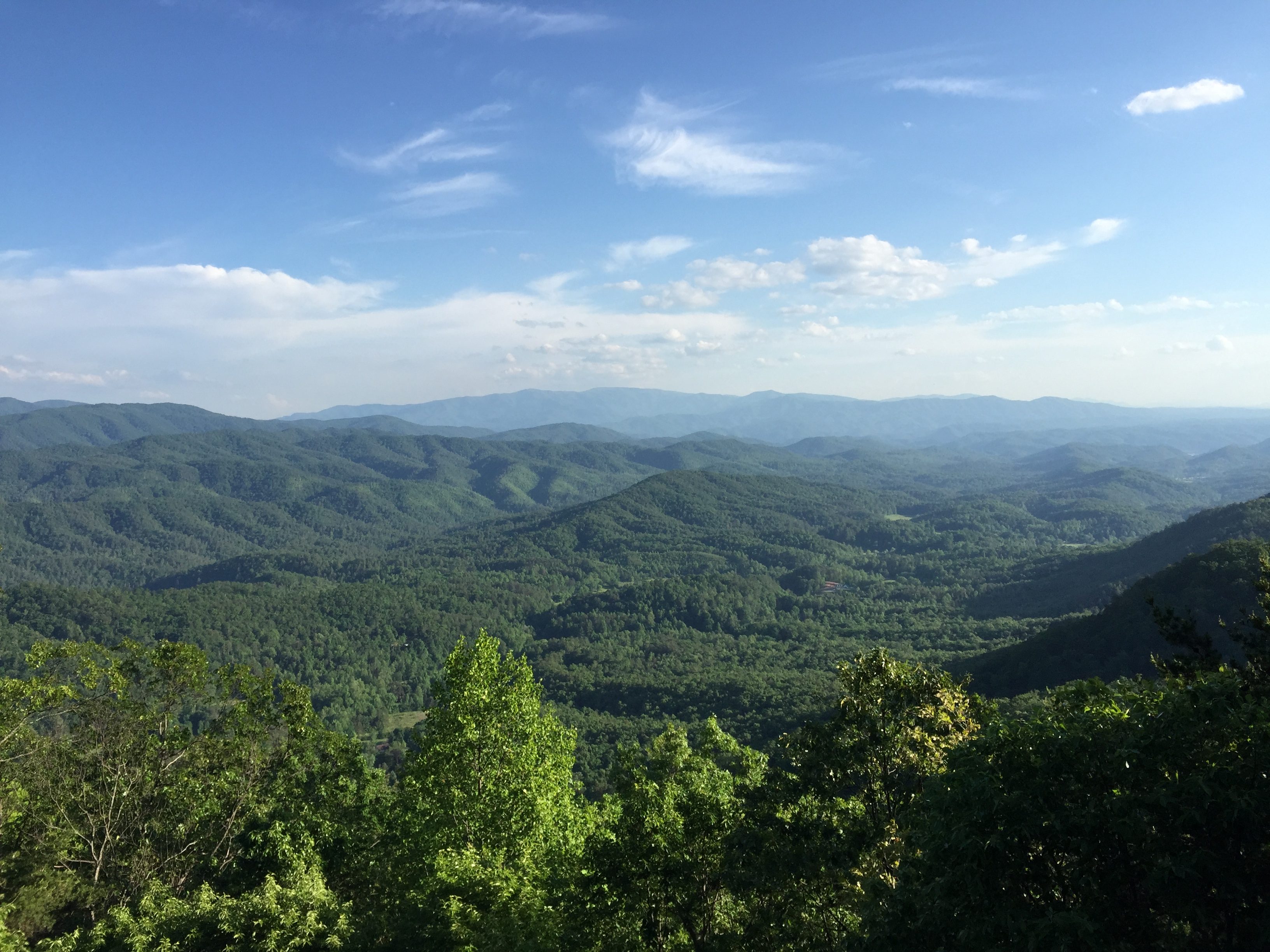 Green ridges seen from the Look Rock parking area on the Foothills Parkway in May
