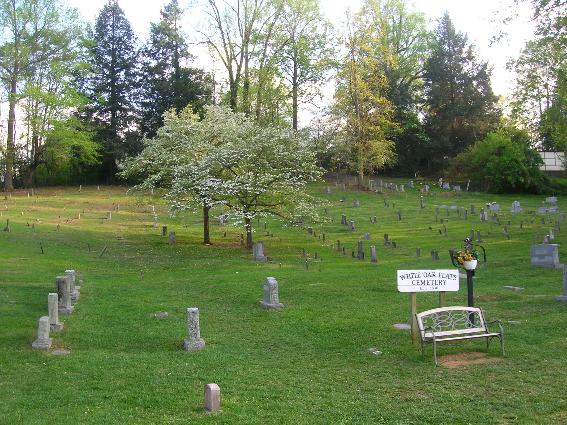 White Oak Flats Cemetery, established 1830, a stop on the downtown ghost walks