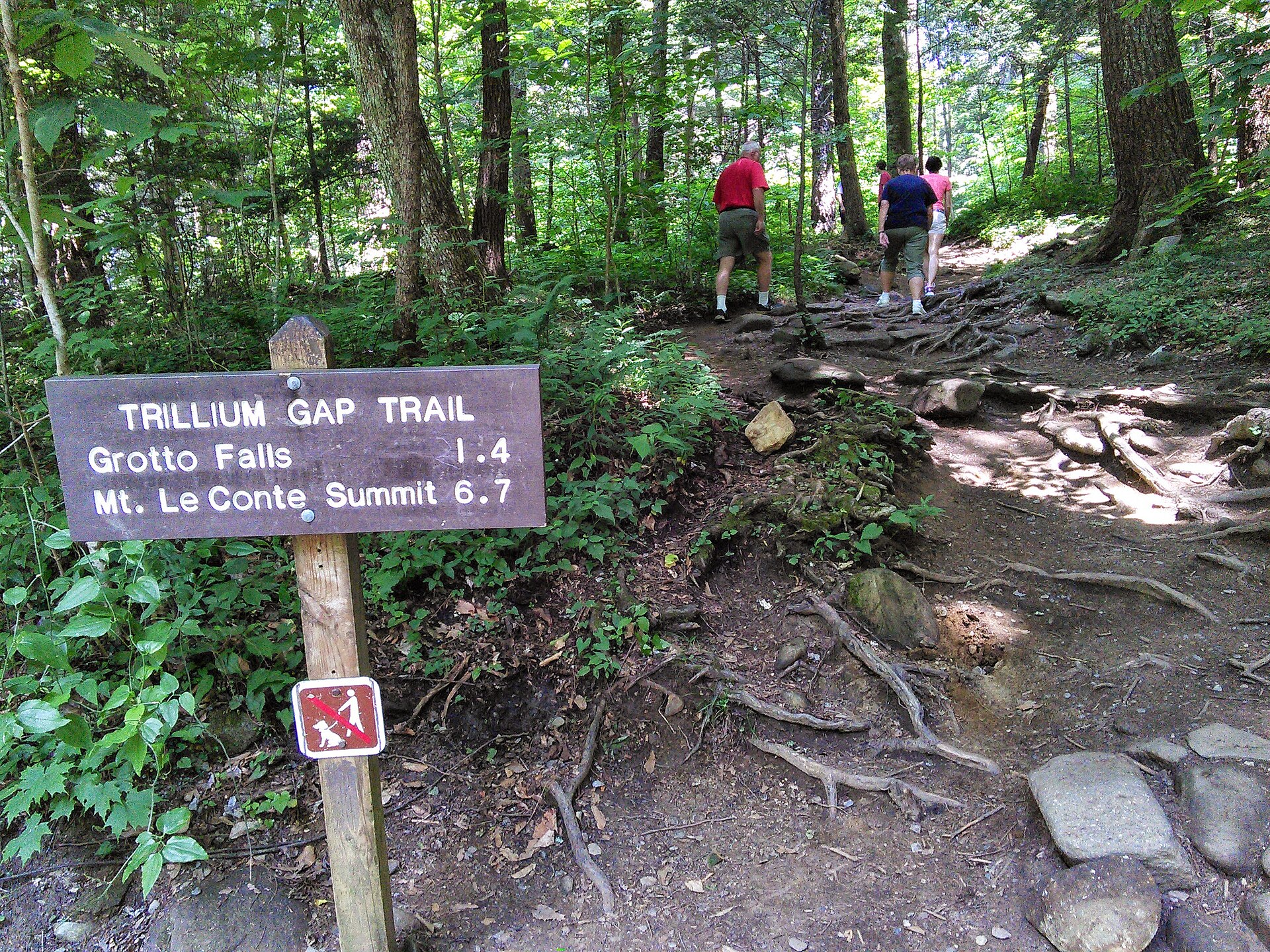 The Trillium Gap Trail sign at the trailhead, with its no-pets marker