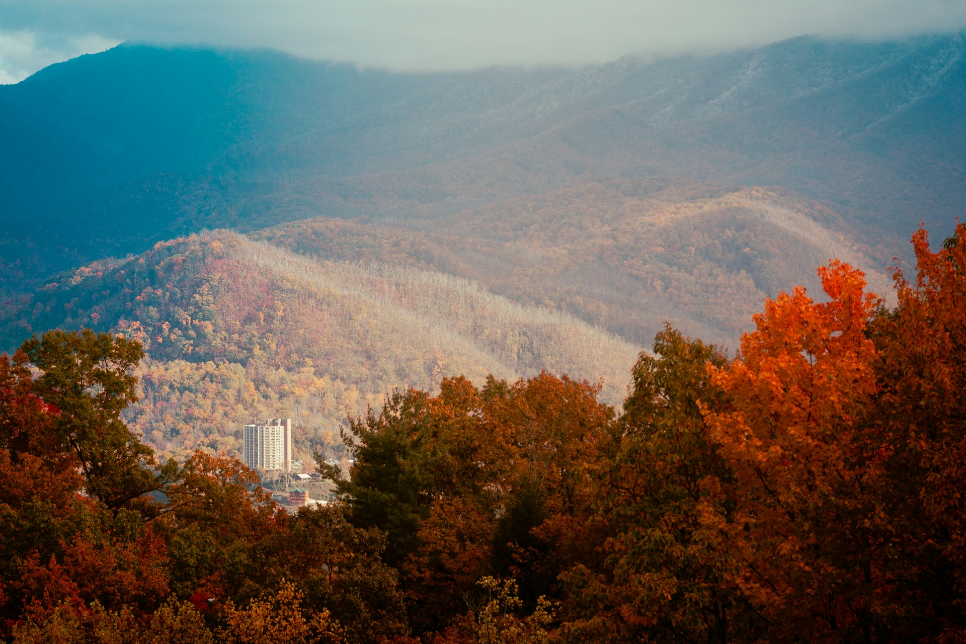 Autumn color on the ridges above Gatlinburg, a town high-rise below