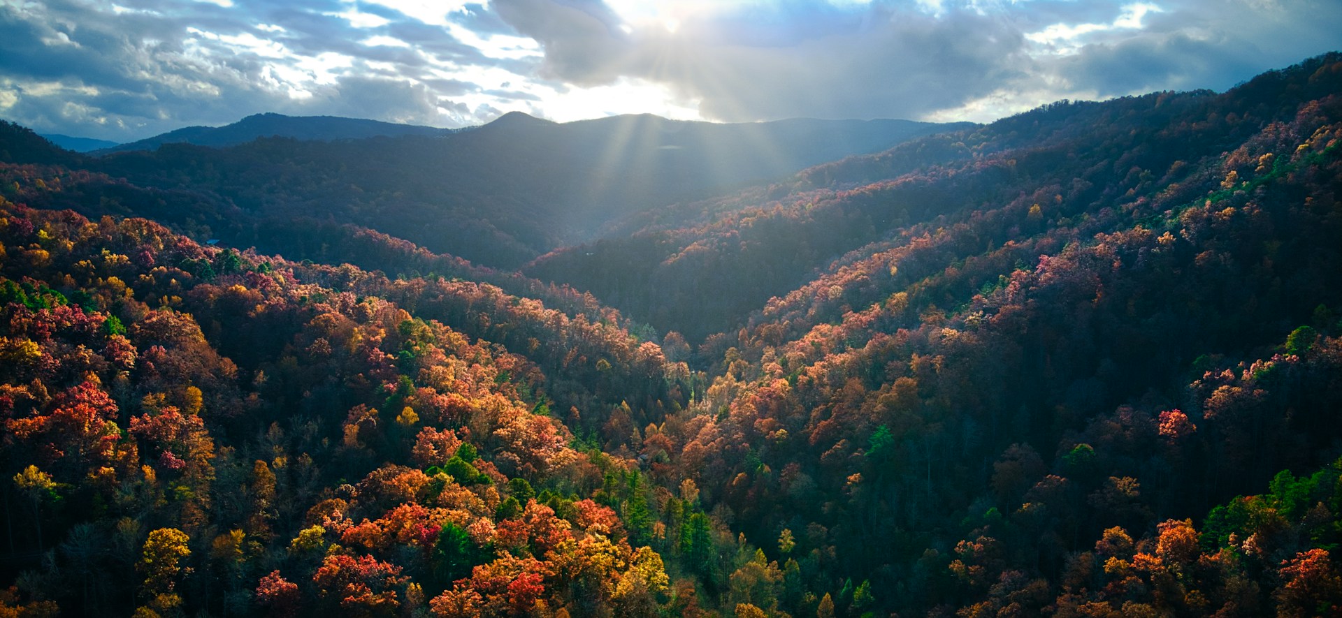 Autumn color filling a wooded hollow near Gatlinburg