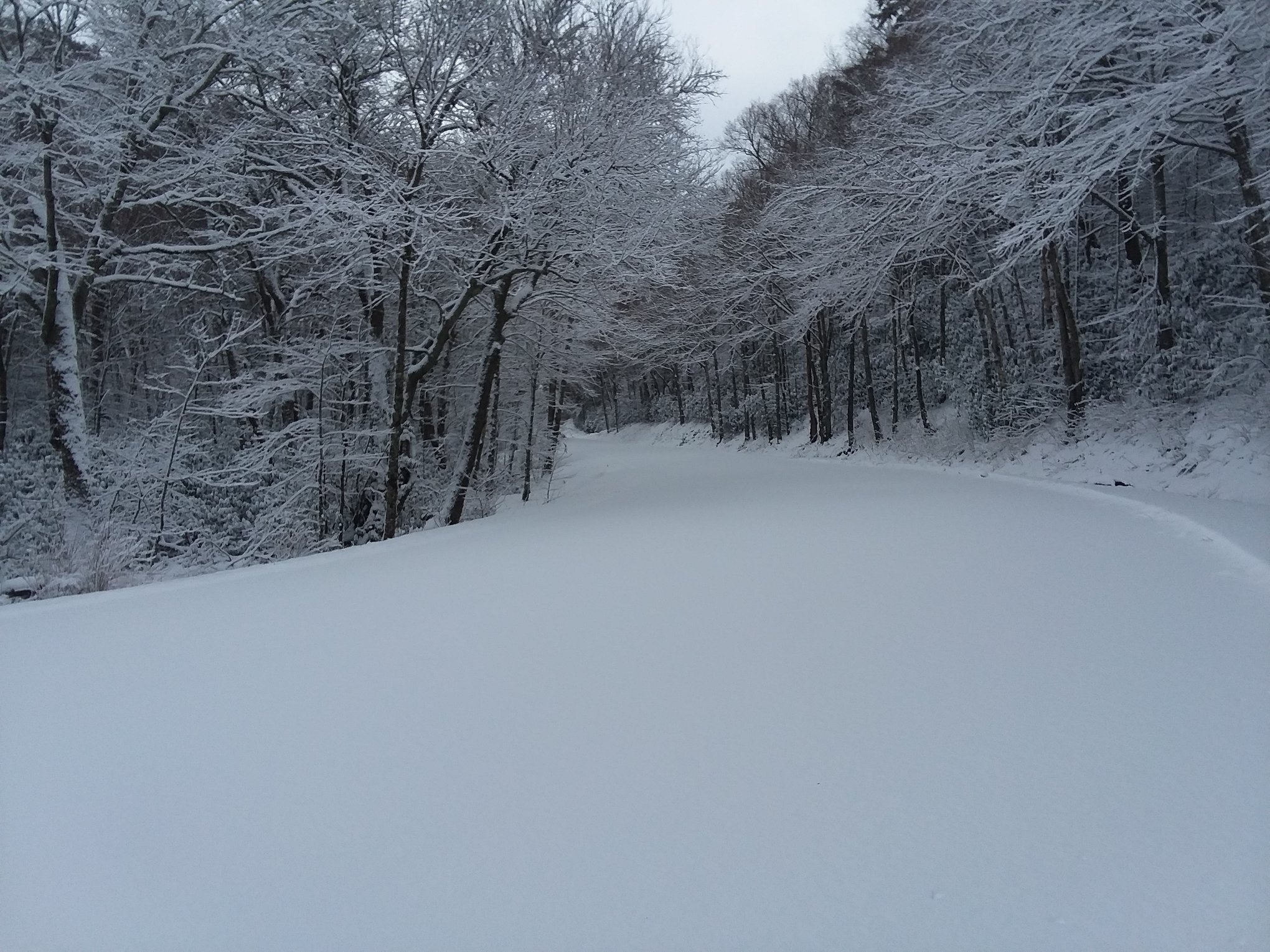 Snow-covered Newfound Gap Road, the park's crossing from Gatlinburg to Cherokee