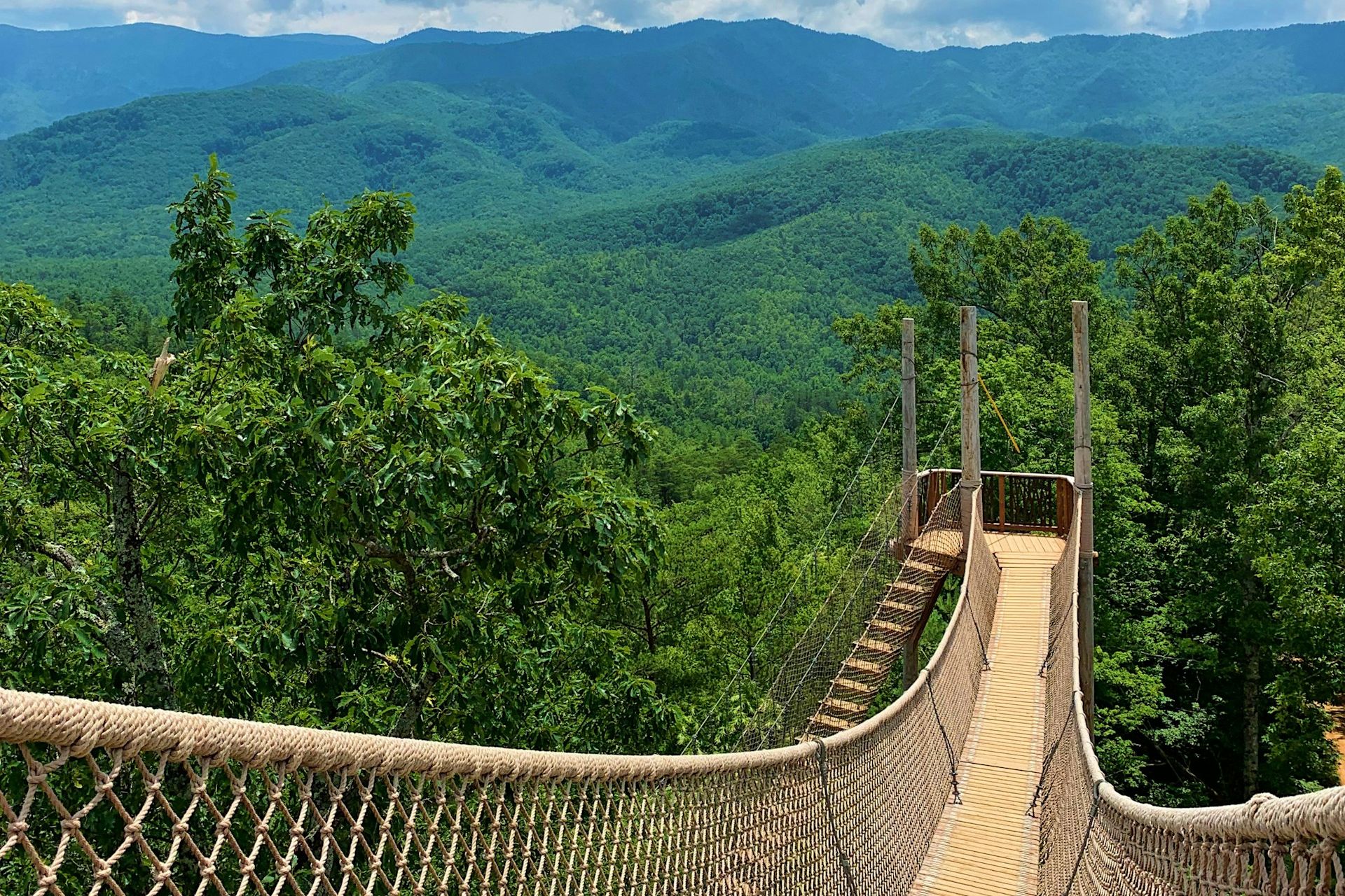 A rope bridge high in the treetops near Gatlinburg, the Smokies beyond