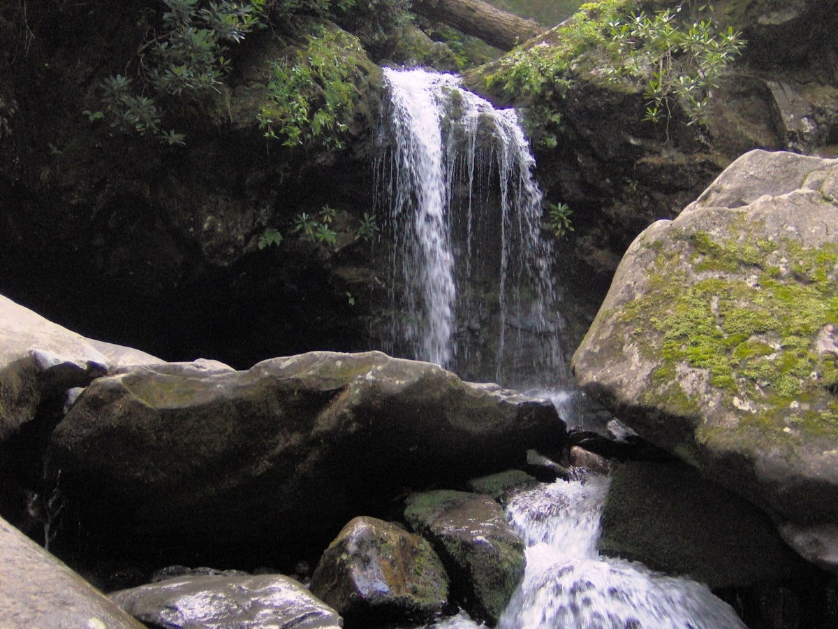 Grotto Falls on the Trillium Gap Trail