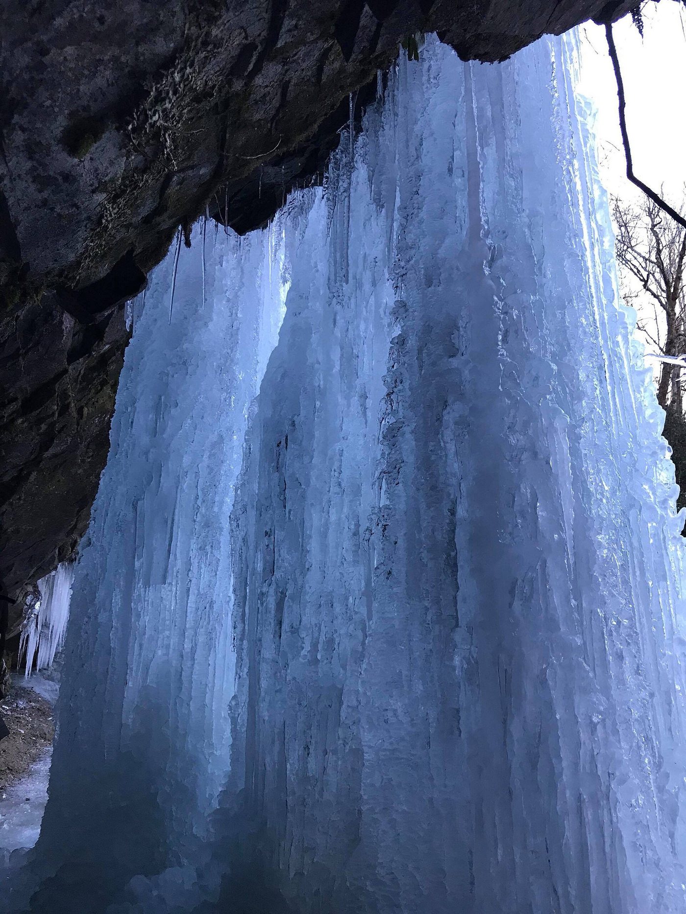 Behind Grotto Falls in a January freeze
