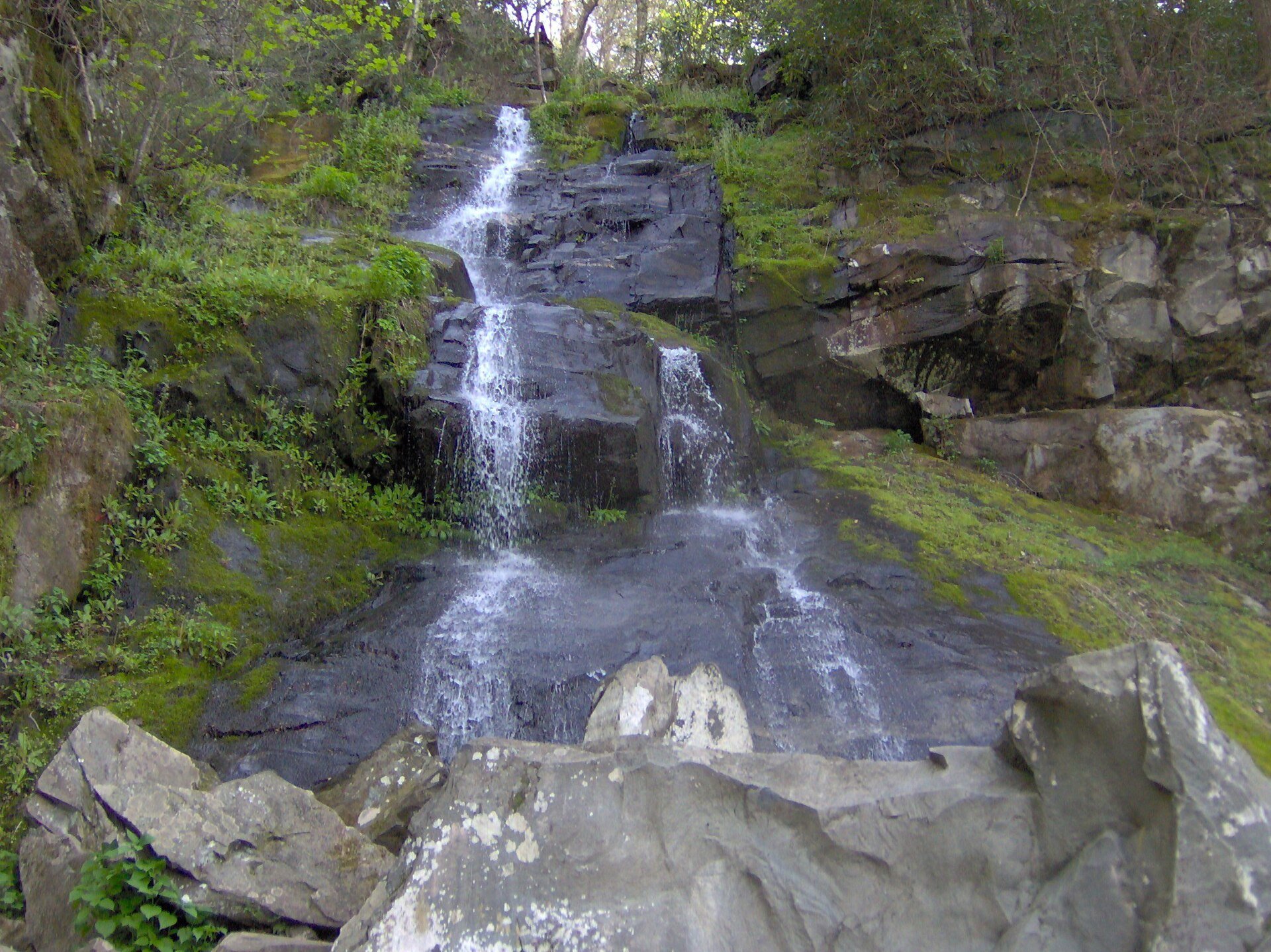 Hen Wallow Falls, off the Gabes Mountain Trail near Cosby