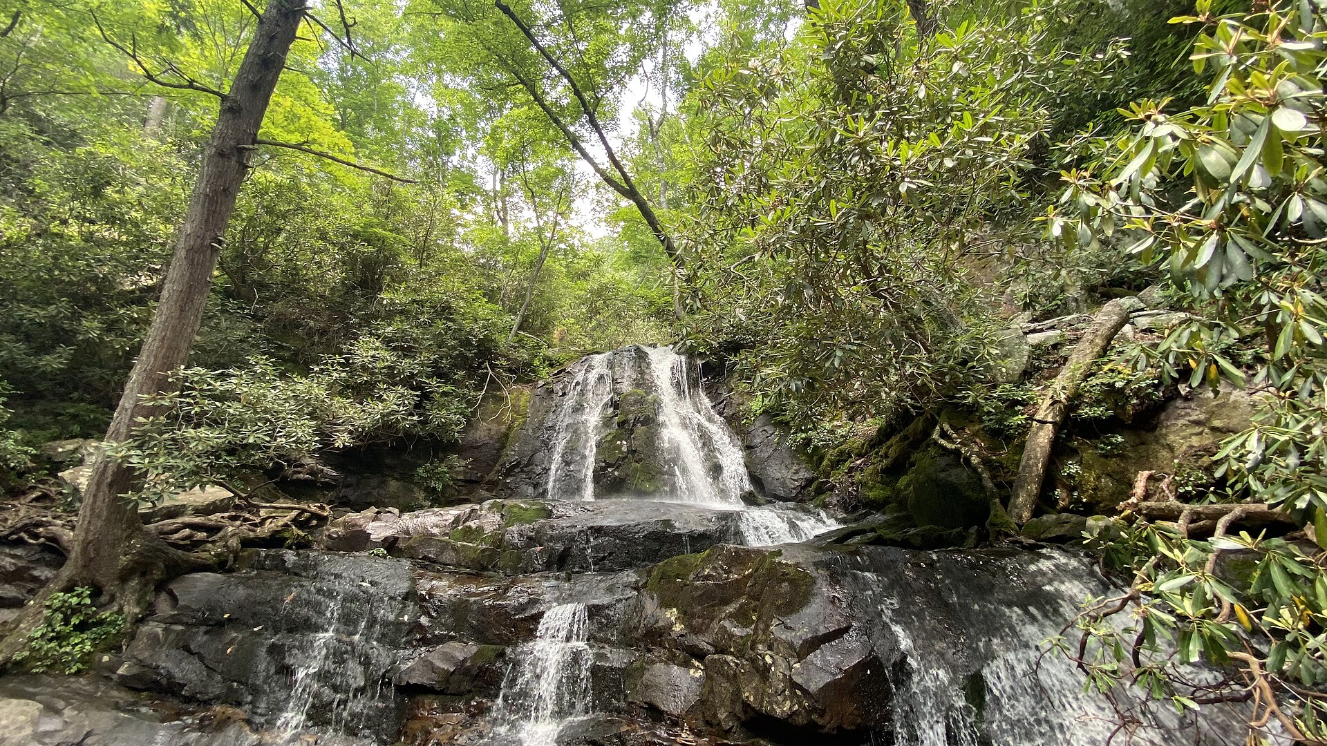 The upper and lower tiers of Laurel Falls in summer