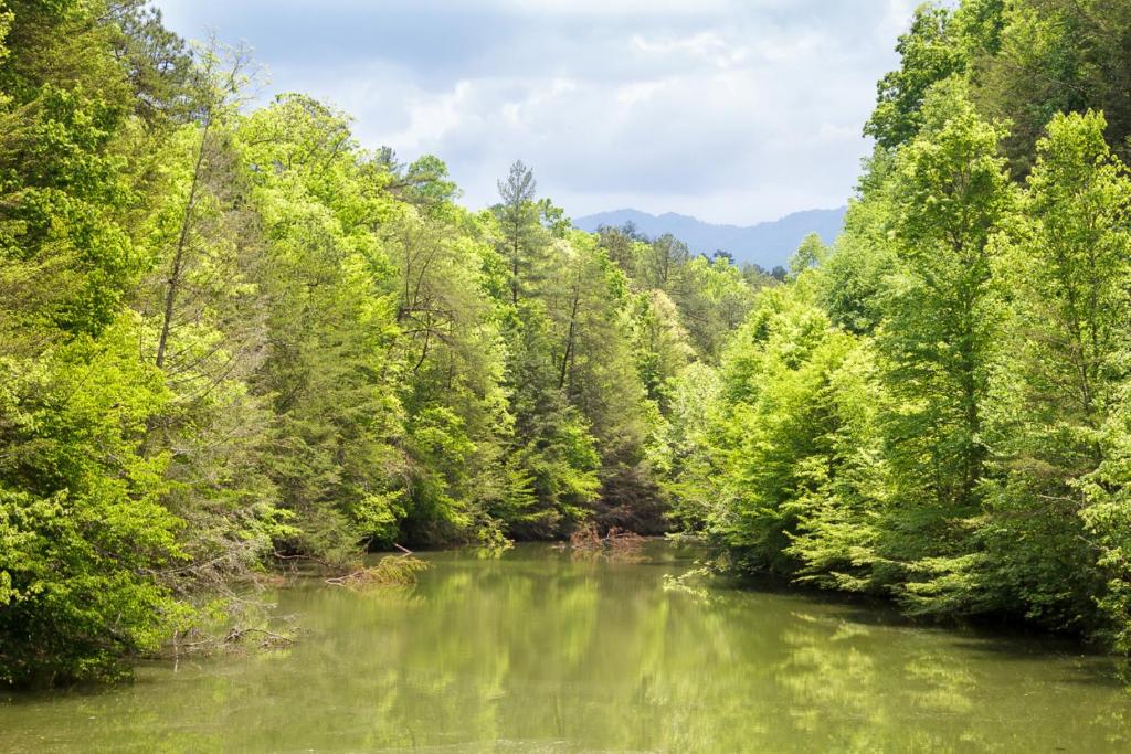 The lake between the hardwoods, a ridge beyond · © Lil' Smoky Studio