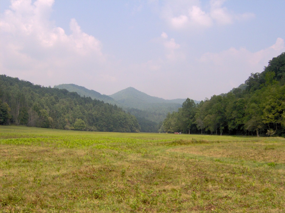 The old Caldwell farm fields in Cataloochee, with Noland Mountain behind