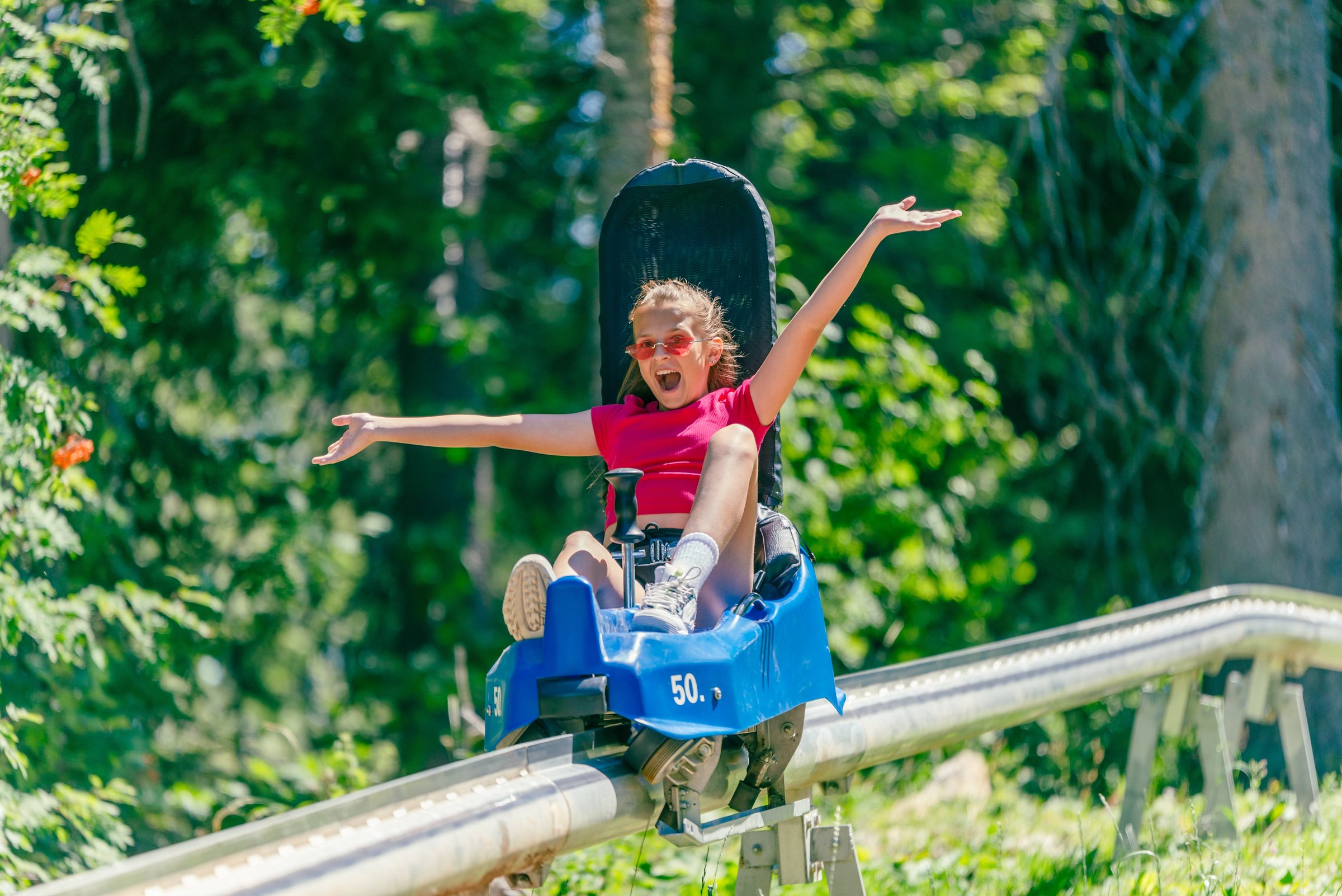 A young rider, arms up, on a mountain coaster sled through the trees