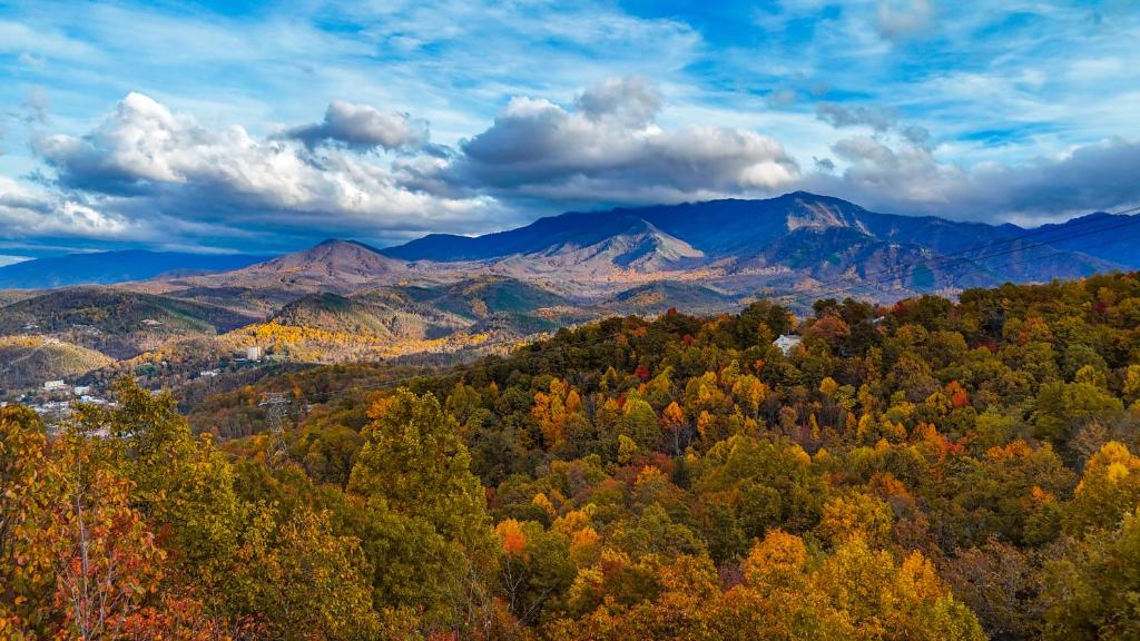 Autumn colour rolling toward the Smokies · © The Sauna Cabin on South Baden