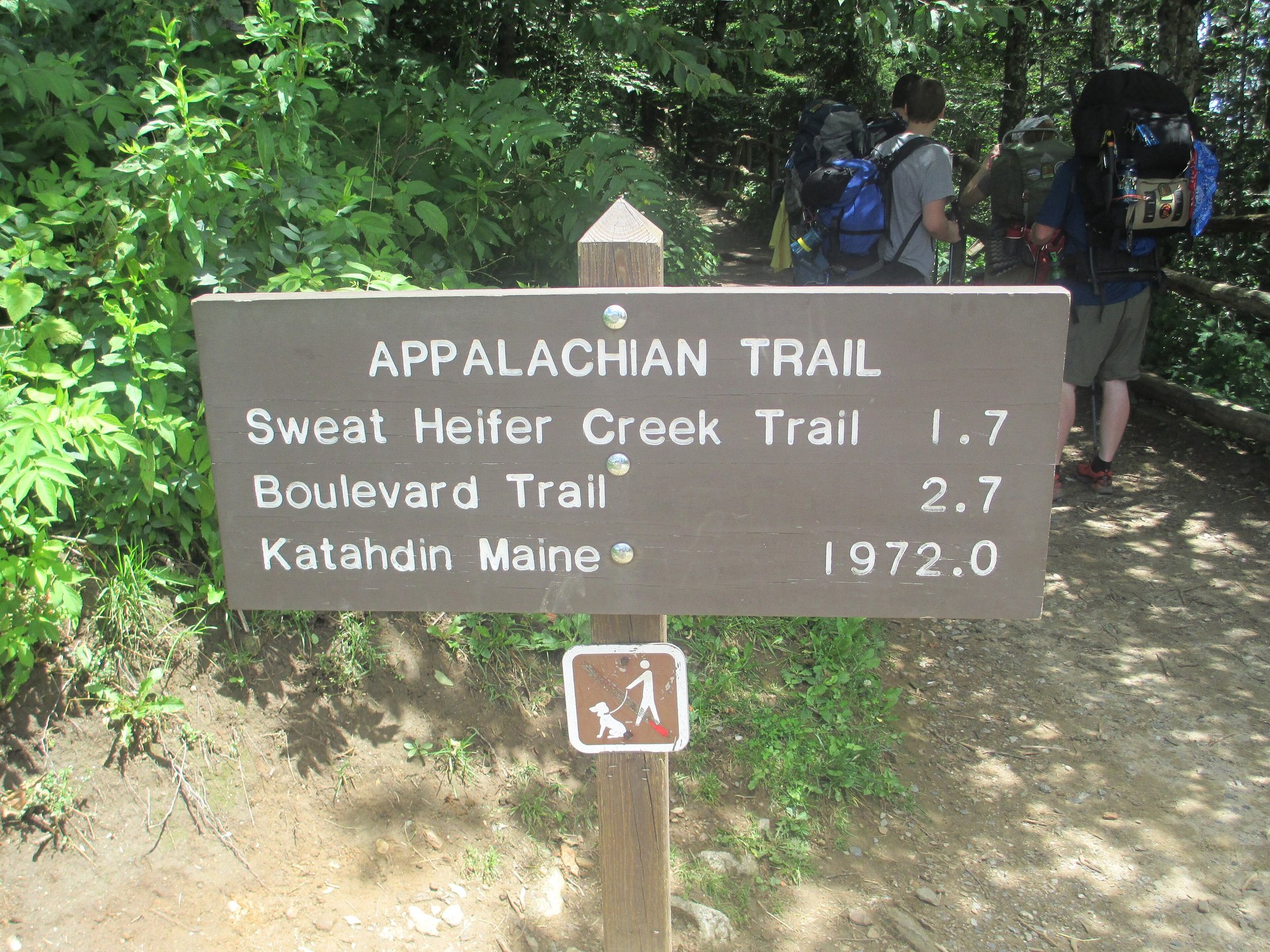 The Appalachian Trail sign at Newfound Gap, pointing north to Maine