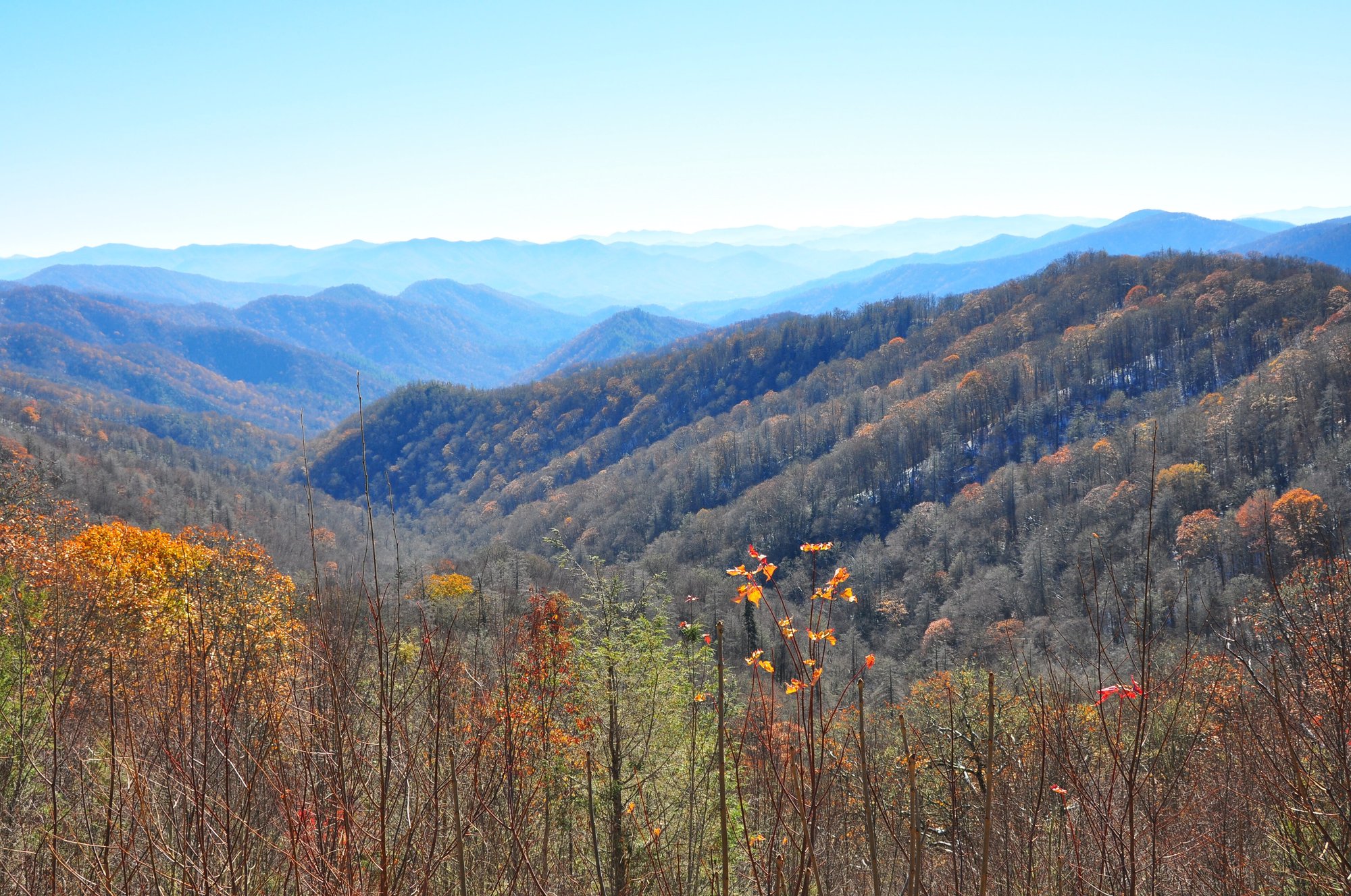 Early November from the Thomas Ridge Overlook, on the North Carolina side