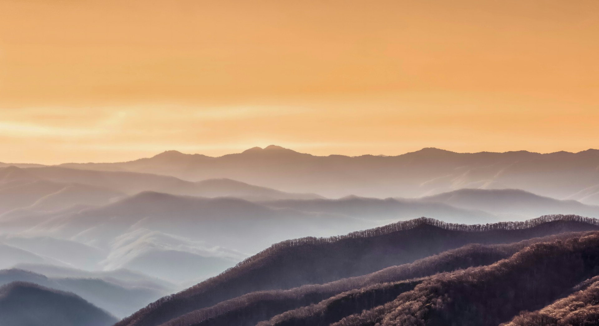 Smokies ridges fading into golden haze, the trees still bare