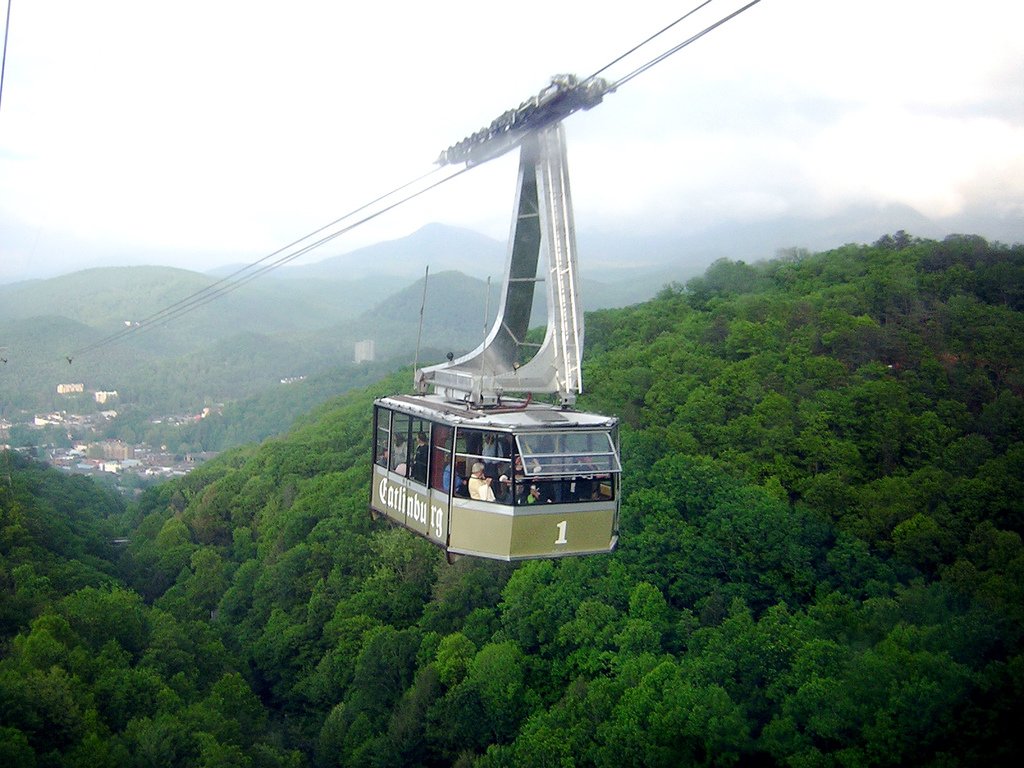 One of the two tram cabins over the forest, Gatlinburg in the valley