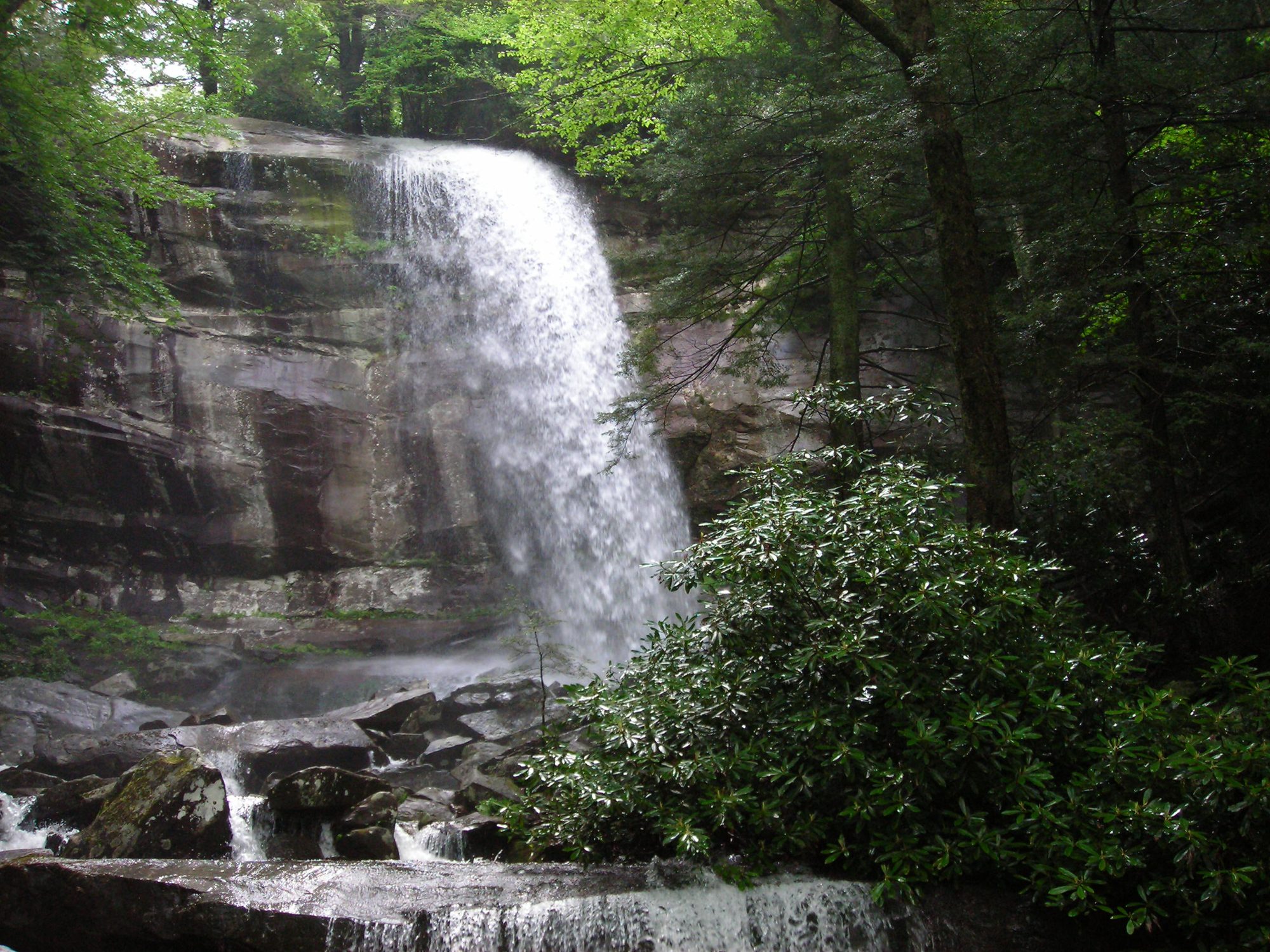 Rainbow Falls, LeConte Creek's single plunge, in early June