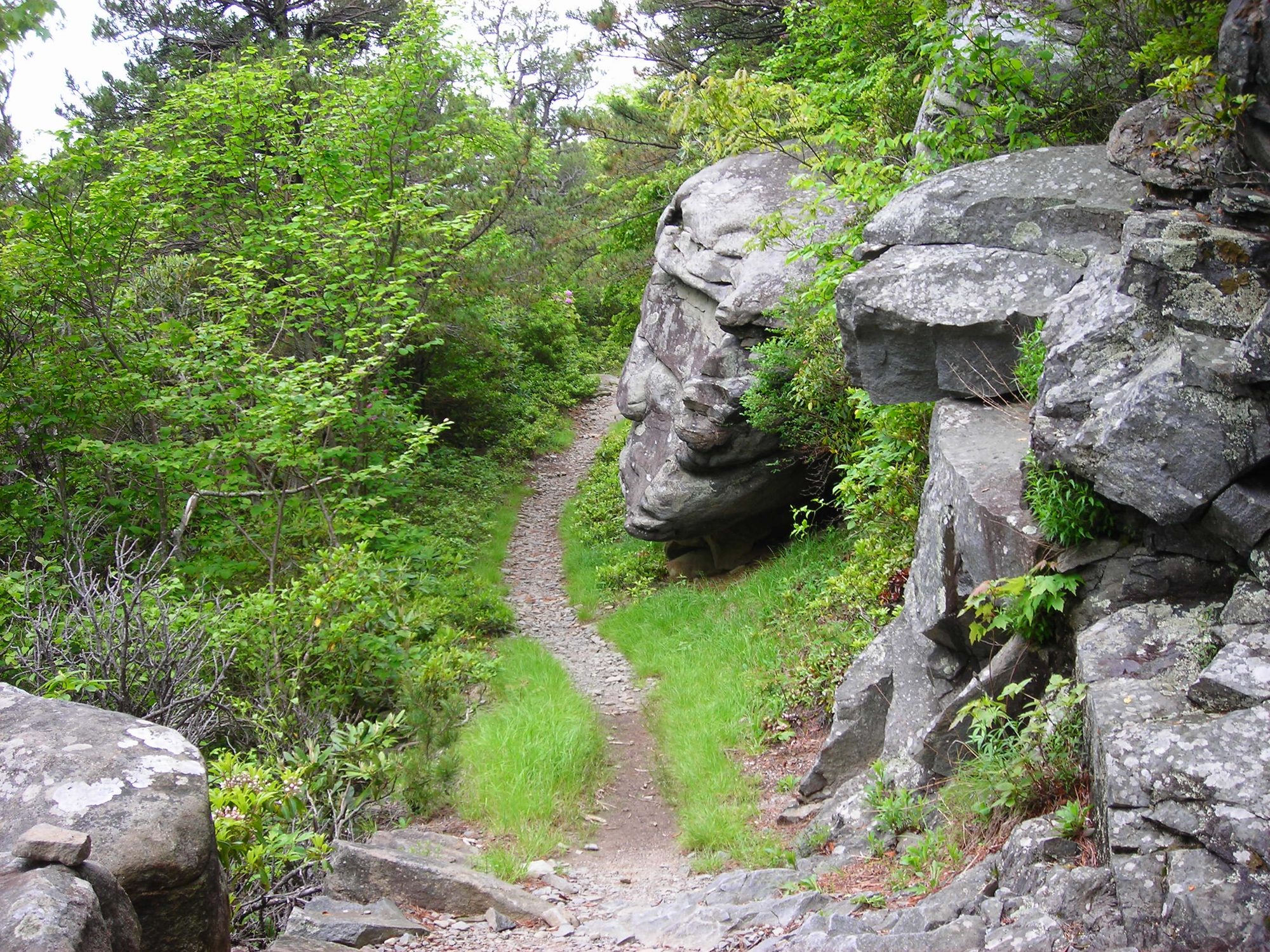 Boulders on the trail above the falls, on the way to Mount LeConte