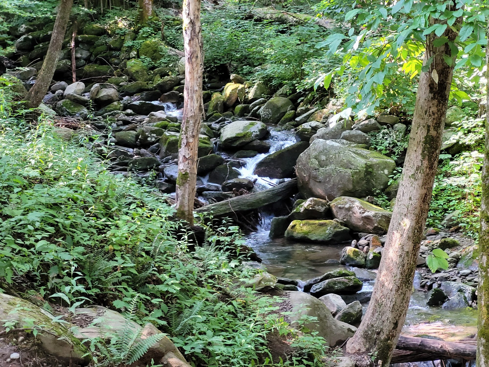 LeConte Creek running through boulders beside the lower trail