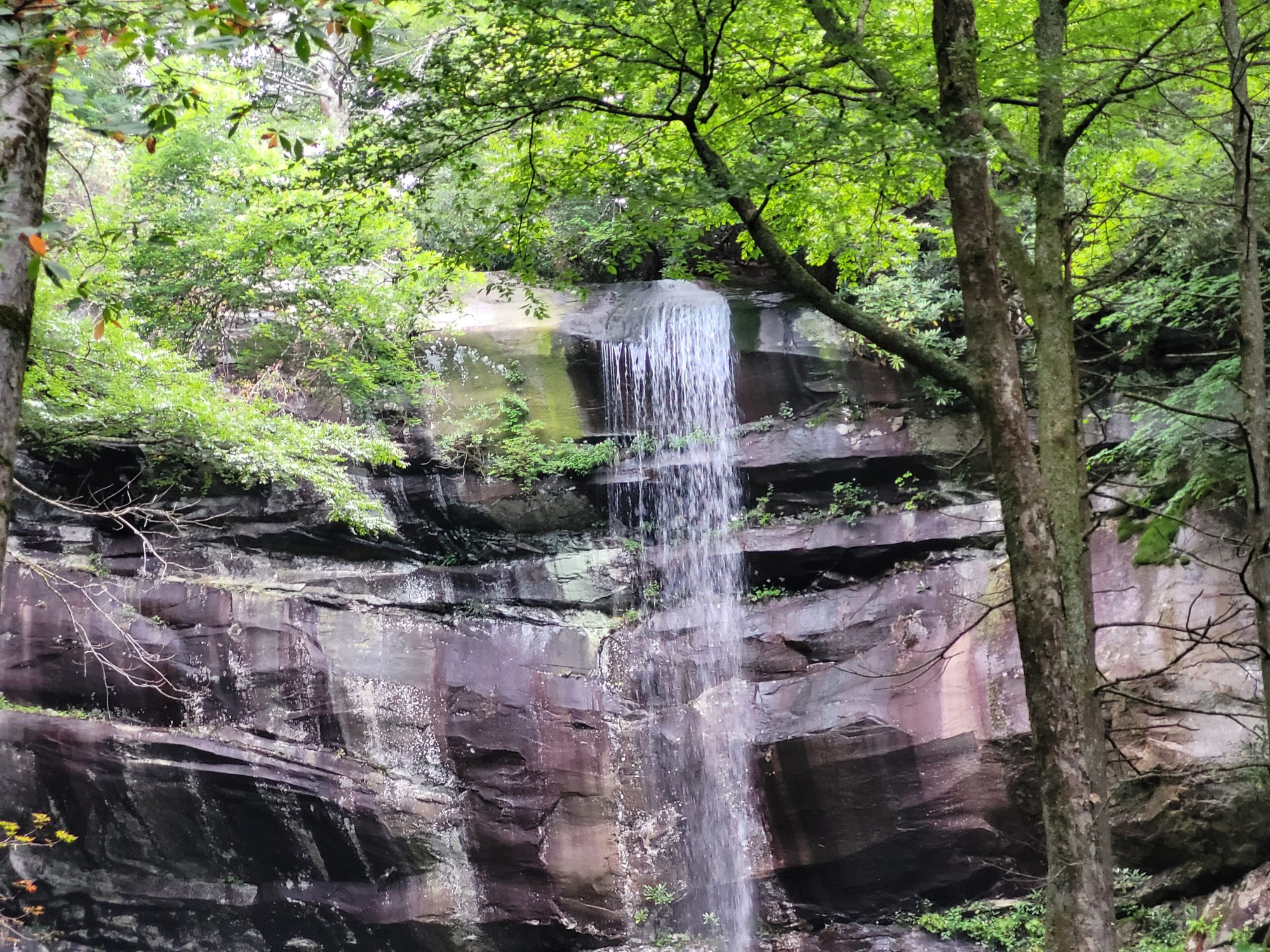 Rainbow Falls dropping over layered rock on LeConte Creek in summer