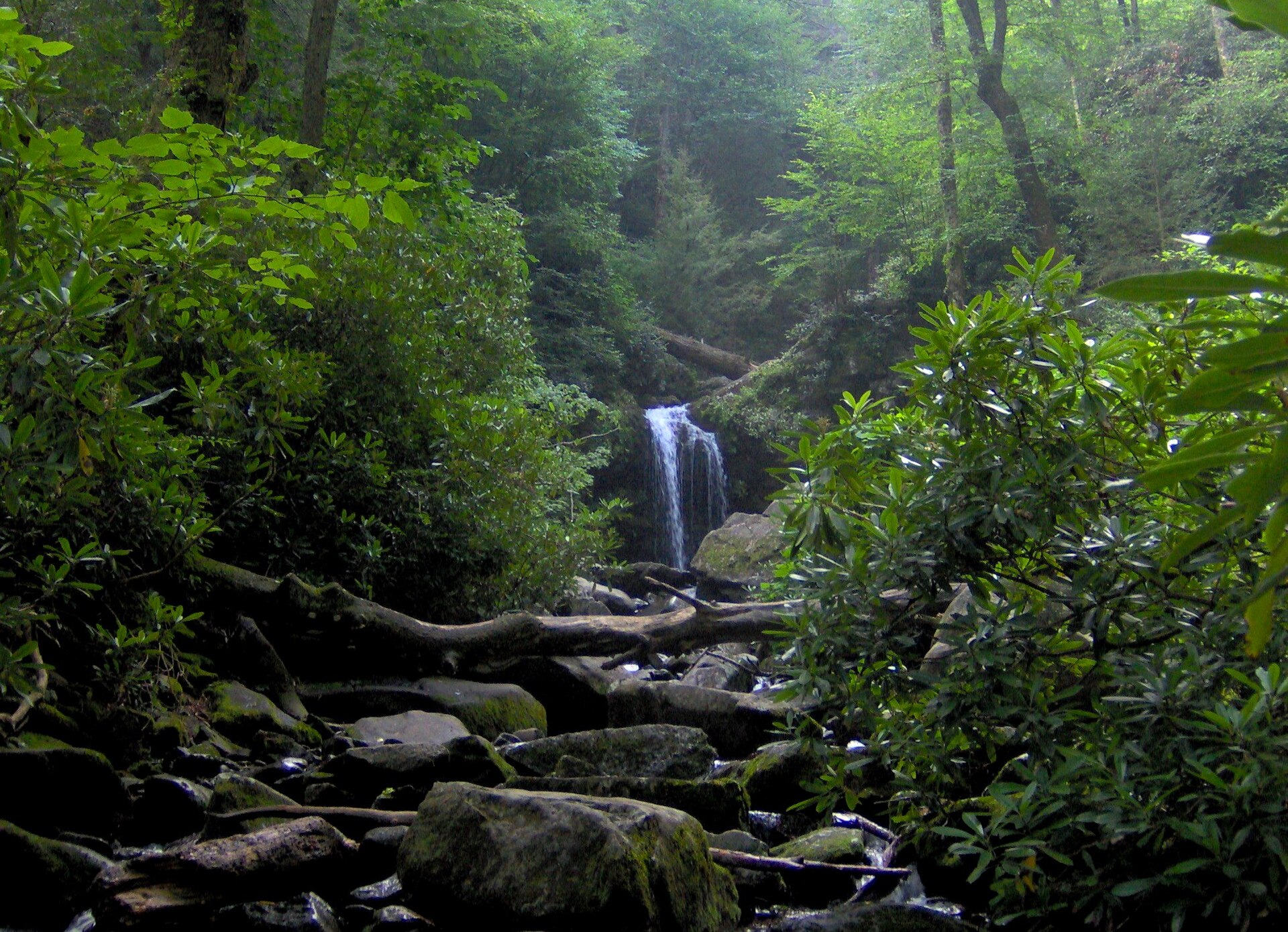 Roaring Fork's boulder-strewn stream, with Grotto Falls beyond
