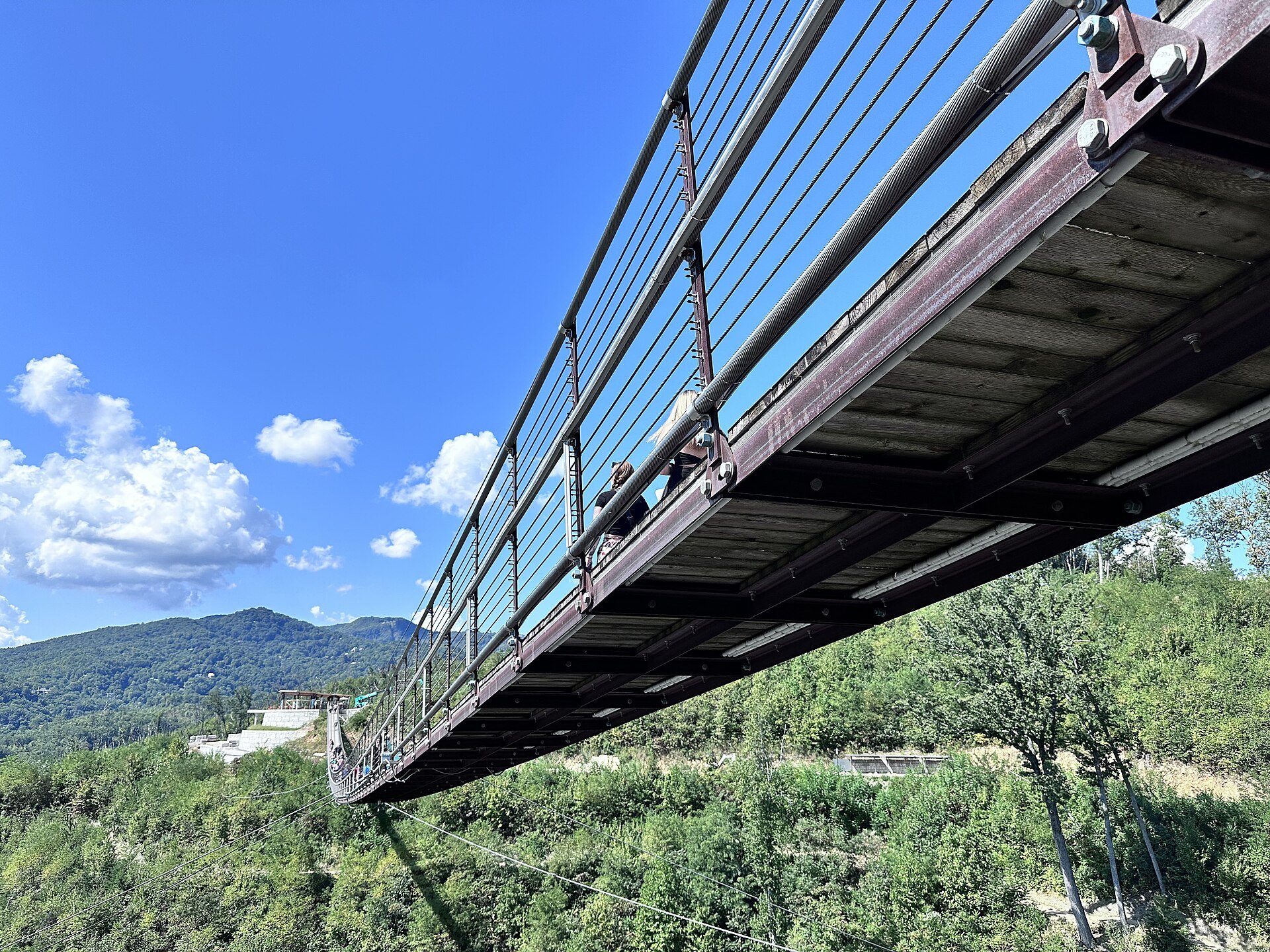 The SkyBridge deck seen from below, strung across the wooded valley