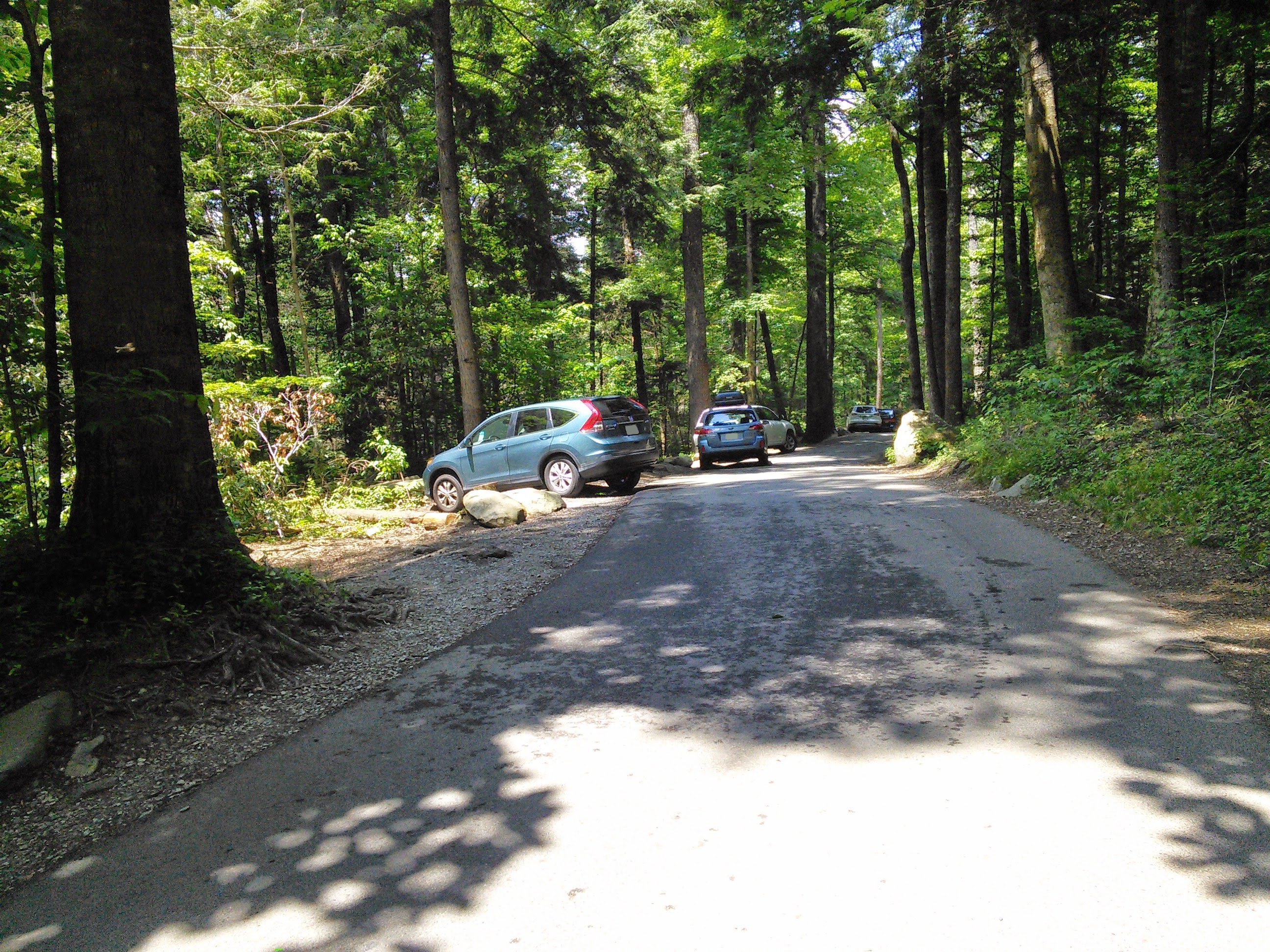 The narrow, shaded lane of the Roaring Fork Motor Nature Trail