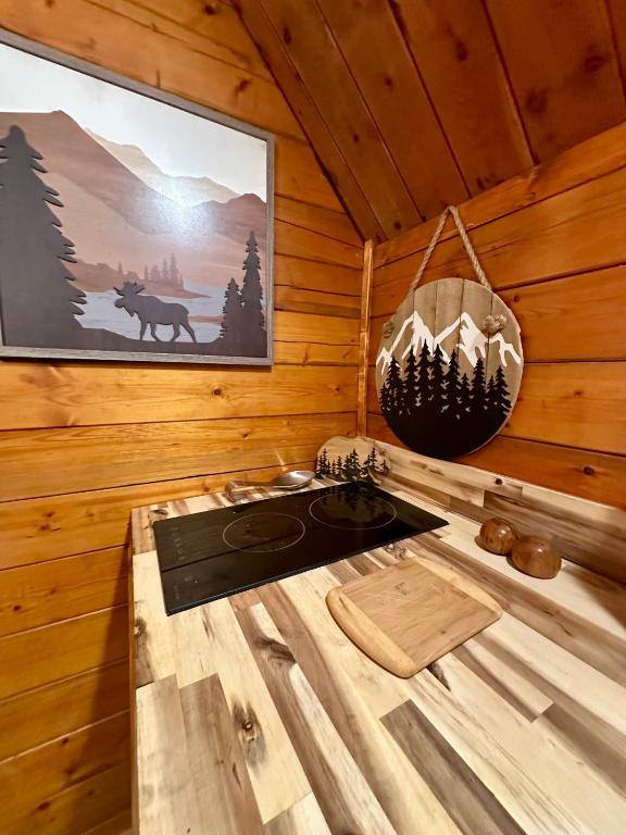 The kitchenette cooktop on a light-wood counter · © The Dapper Duck Log Cabin