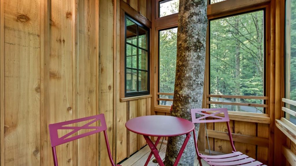 A tree trunk rising through the screened porch · © The Magnolia at Treehouse Grove